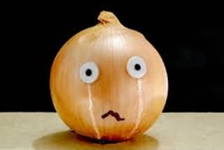 onion