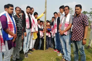 Lower Assam Festival foundation stone has been established