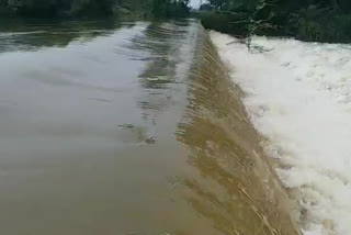 heavy rain in nellor district