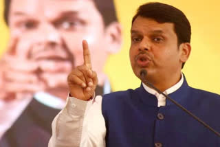 Devendra Fadnavis comment on Anantkumar hegde speech