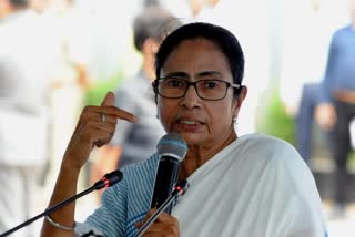 Mamota Banerjee