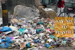 single use plastic free campaign ambala