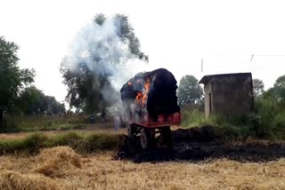 Paddy crop burned