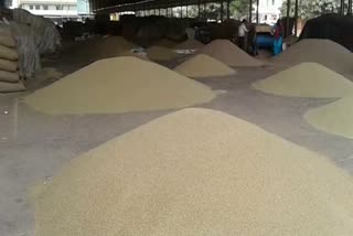 One lakh two thousand metric tons of paddy procured