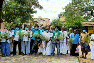 farmers protest against toxic plant  toxic plant in tuticorin  farmers protest against toxic plant in tuticorin  பார்த்தீனிய செடிகள் அழிப்பு  விவசாயிகள் போராட்டம் தூத்துக்குடி