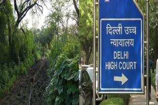 action plan remove encroachment from forest area in delhi