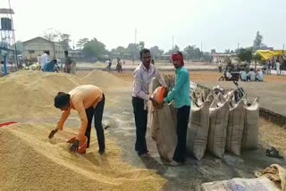 Unable to cut tokens in 12 paddy buying centers in mahasmund