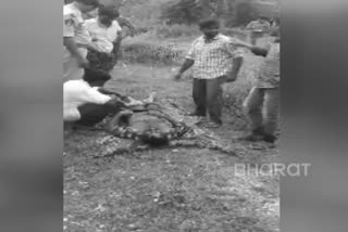 The young boy  whereabouts are found in the Teluguganga canal