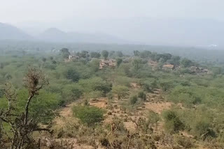 सरिस्का के लिए ग्रहण बन रहे जंगल में बसे हुए गांव, Villages inhabited by forest for eclipse Sariska