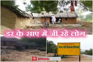 alwar special story, Sariska forest