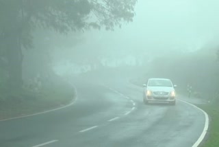 heavy mist in road