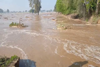 sirsa canal broken