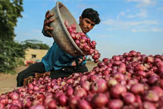 Onion prices hit record-high