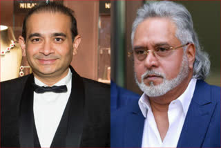 business news, absconders who left country absconders who left country defrauded over Rs 17,900, nirav modi, vijay mallya, कारोबार न्यूज, विजय माल्या, नीरव मोदी