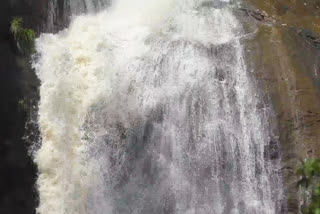 Tourist People Not Allowed to enter in Aagaya Gangai Waterfalls