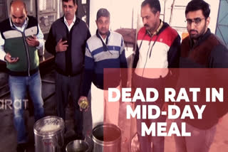 Dead rat in midday meal in UP: principal, 4 others booked