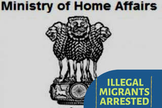 illegal migrants arrested