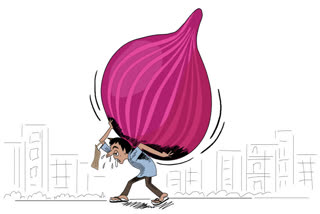 Onion prices hike