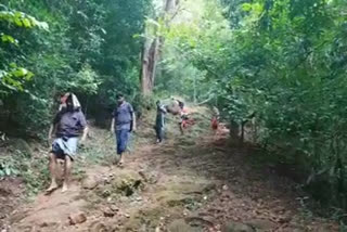 Sabarimala Forest path opened for pilgrims  കാനനപാത സജീവമായി; ഇതുവരെ എത്തിയത് മൂവായിരത്തിലധികം ആളുകൾ  Sabarimala News  ശബരിമല വാർത്തകൾ