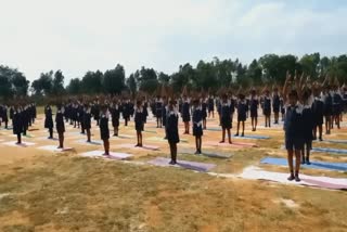 students participating in yoga