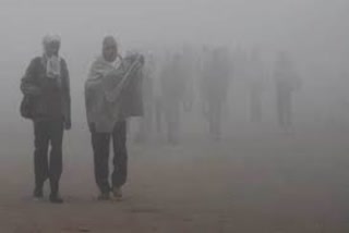 cold conditions to continue in haryana