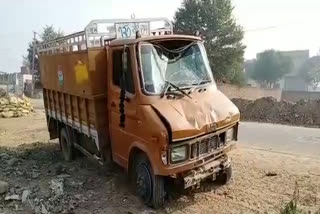 भरतपुर में गोवंश से भरा ट्रक जब्त, Truck full of cows seized in Bharatpur