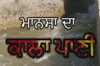 rajbaha