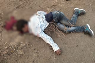 Student dies in accident at Parbhani