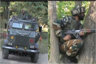 jk: cardon and search operation in shopian district  ജമ്മു& കശ്‌മീർ: ഷോപ്പിയൻ ജില്ലയിൽ സൈന്യം തെരച്ചിൽ നടത്തുന്നു