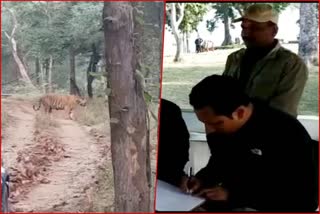 Tourism Minister Surendra Singh Baghel confronts Tiger