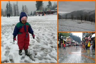 snowfall news in kullu