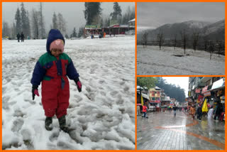 snowfall  news in kullu and chamba