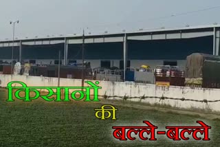 वेयर हाउस,  warehouse,  crop in warehouse , free for 4 months , इंदौर न्यूज , कमलनाथ सरकार , Kamal Nath Government , सरकारी वैयरहाउस,  Government WareHouse,  फसल