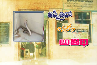 snake-ran-into-veenavanka-government-hospital-in-karimnagar-district