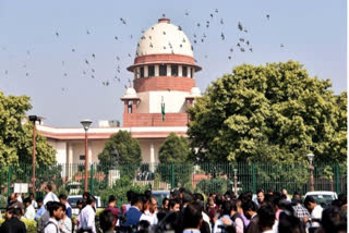 supreme court