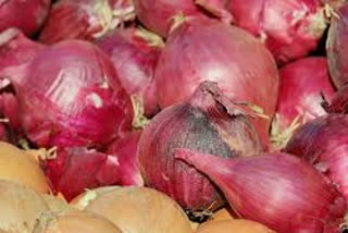 onion prices touch Rs 140 kg mark some cities