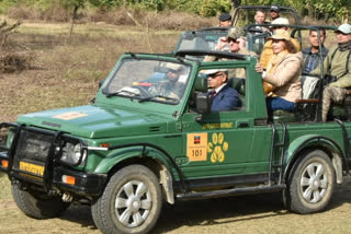 Corbett National Park