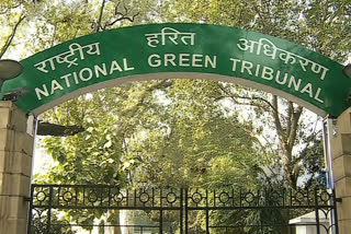 fine imposed by ngt