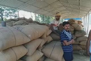 Bijepur farmer in tension