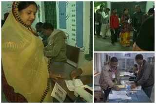 Second phase of polling begins in 20 Jharkhand seats