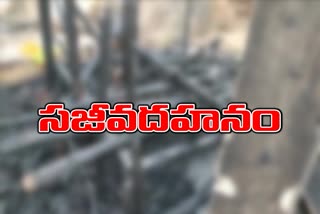 fire-accident-in-eaast-godavari-old-lady-died