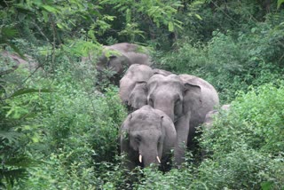 ছবিটি প্রতীকী