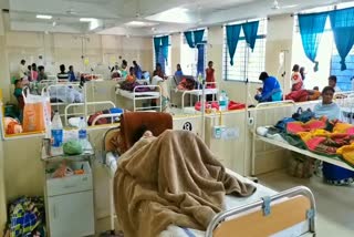 Outbreak of Japanese fever in Bastar