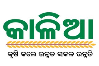 କାଳିଆ ଯୋଜନାରେ ବଡ଼ ପରିବର୍ତ୍ତନ