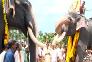 Guruvayoor Keshavan  Commemoration for Guruvayoor Keshavan  ഗുരുവായൂര്‍ കേശവന്‍  ഗുരുവായൂര്‍ കേശവന് അനുസ്‌മരണം