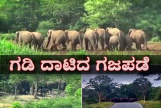 elephant-entering-tamil-karnataka-border