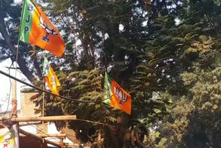 जामताड़ा में आचार संहिता का उल्लंघन, झुग्गी-झोपड़ी और पेड़ों पर लहरा रहा राजनीतिक दलों का झंडा