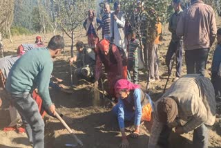 agricultrural workshop organised in karsog