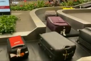 Luggage