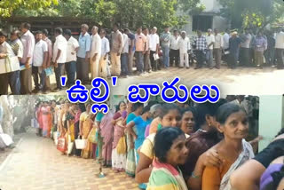 onion problems in narasapuram west godavai